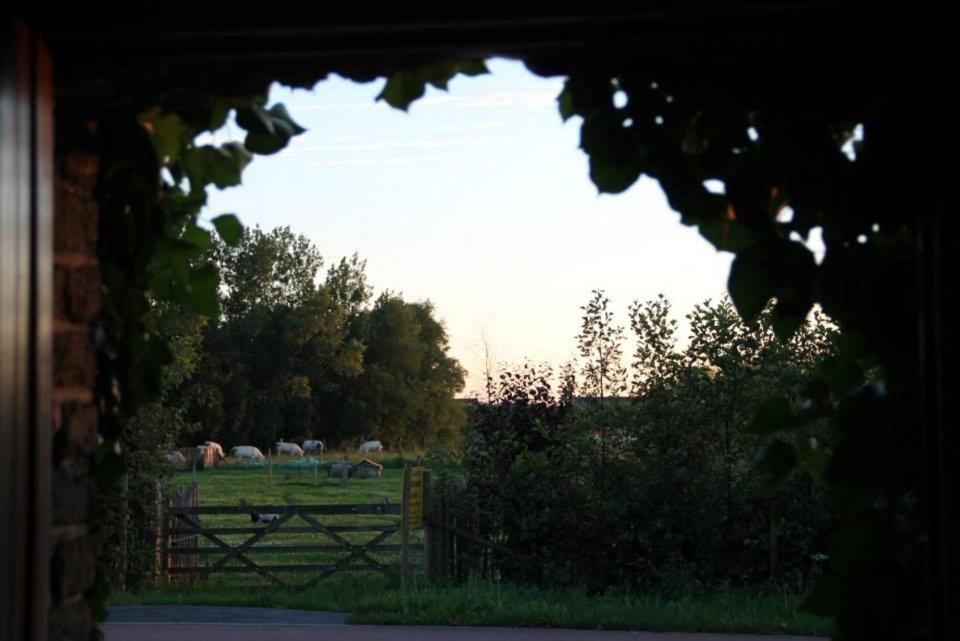 Polder 27 Vila Oudenburg Exterior foto